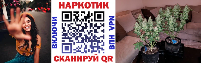 Виды наркоты Верея MDMA  Alpha PVP  ГАШ  Меф  blacksprut вход  Каннабис 