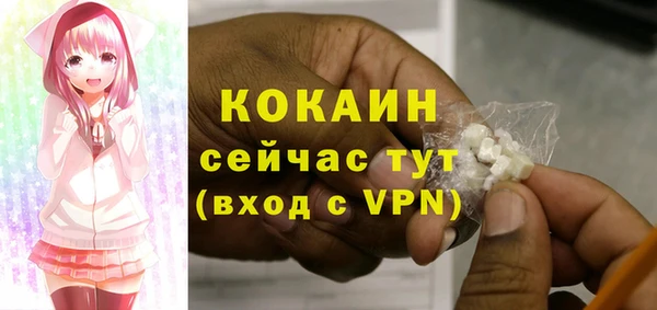 крисы Сосновка