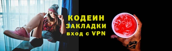 прущие грибы Верея