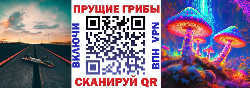 Галлюциногенные грибы GOLDEN TEACHER  Верея 