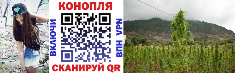 Марихуана марихуана  Верея 